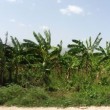 Mapy WCB pomagają w akcji ratowniczej na Haiti