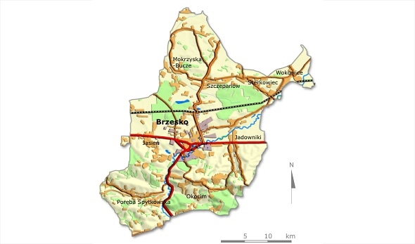 Brzesko