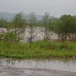 Zagrożenie powodzią – usuwanie drzew
