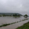 Główny Inspektor Sanitarny 24.05.2010