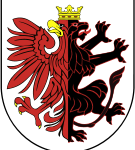 Toruń poziom wody się waha
