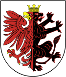 Toruń poziom wody się waha