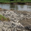 25,1 mln dla samorządów na odbudowę