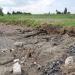 431,5 mln złotych z MSWiA dla powodzian