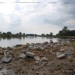 Kolejne pieniądze z MSWiA na walkę z komarami