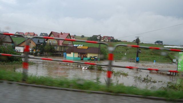 burza-nowy-targ-lipiec-2010-075