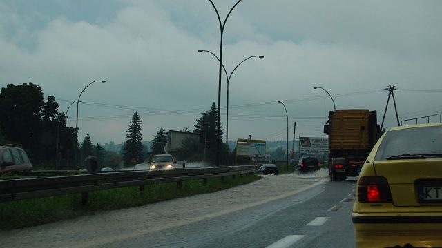 burza-nowy-targ-lipiec-2010-011