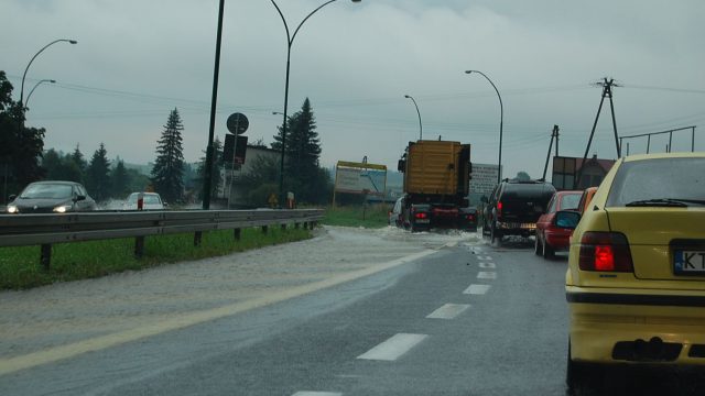 burza-nowy-targ-lipiec-2010-014