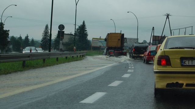 burza-nowy-targ-lipiec-2010-015