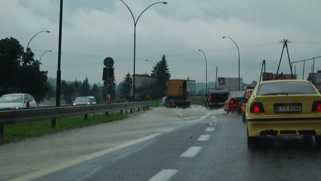burza-nowy-targ-lipiec-2010-019