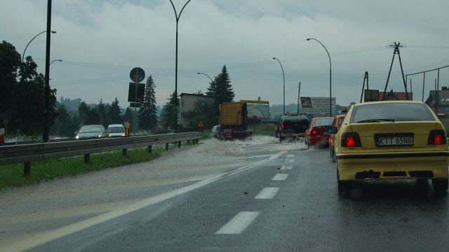 burza-nowy-targ-lipiec-2010-020