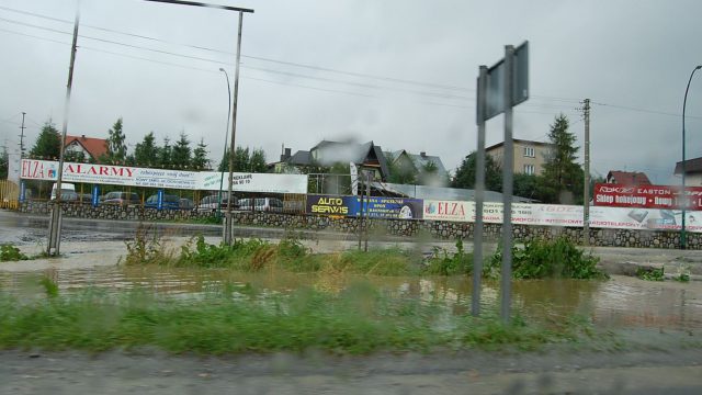 burza-nowy-targ-lipiec-2010-036