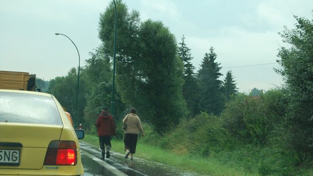 burza-nowy-targ-lipiec-2010-045