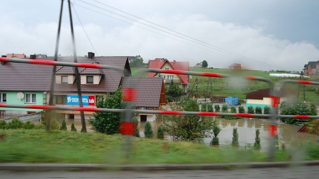 burza-nowy-targ-lipiec-2010-080