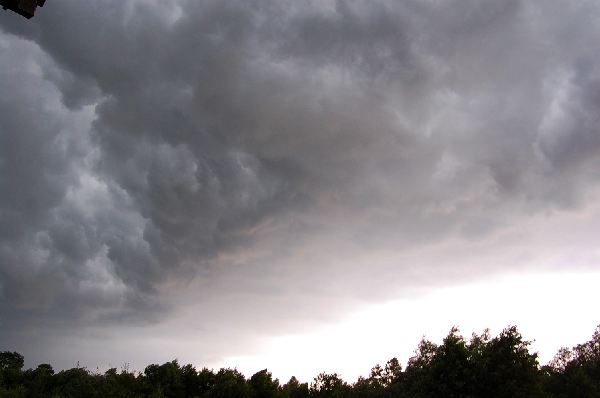 Bogatynia, Zgorzelec Komunikat dla powodzian
