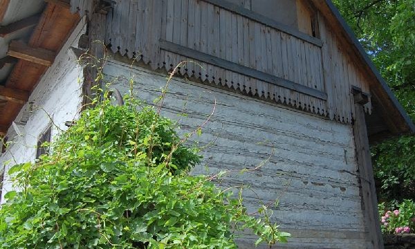 lanckorona-miasto-ruiny-zamku-szlak–sierpien-2010-017