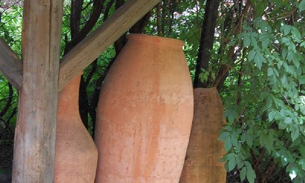 lanckorona-miasto-ruiny-zamku-szlak–sierpien-2010-020