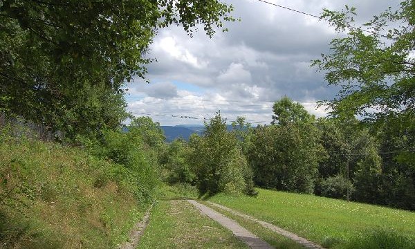 lanckorona-miasto-ruiny-zamku-szlak–sierpien-2010-073