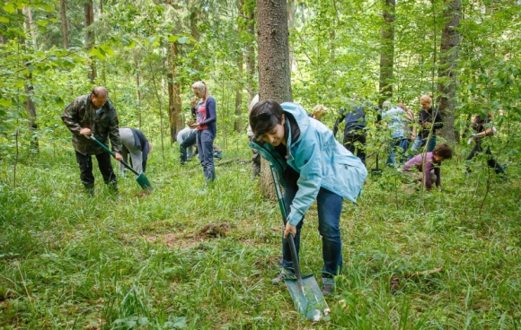 300 dębów dla Podlasia!