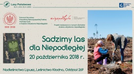 Sadzimy Las dla Niepodległej – Bijemy Rekord Polski
