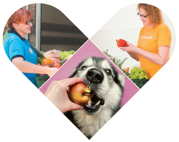 Rusza nowy program Tesco „Duża pomoc dla małych przyjaciół” BIZNES, Ochrona środowiska - Rozpoczął się nowy program Tesco „Duża pomoc dla małych przyjaciół”, w ramach którego organizacje pozarządowe zajmujące się zwierzętami, mogą odebrać żywność.