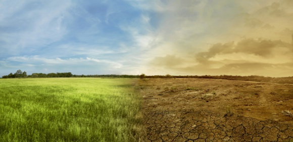 Fala upałów a ocieplenie klimatu
