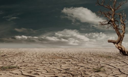 Od katastrofy klimatycznej dzieli nas zaledwie 0,5°C