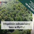 POSADĹš 100 000 DĘBÓW ZE SZTYGAREM!