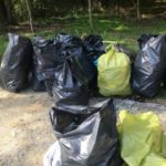 Trash Challenge – wrocławska firma podnosi rękawiczkę
