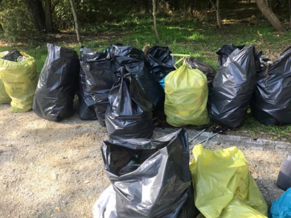 Trash Challenge – wrocławska firma podnosi rękawiczkę