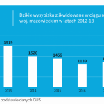 Dzikie wysypiska to prawdziwa plaga. Mazowsze tonie w śmieciach