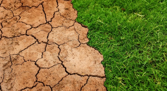Światowy Dzień Ziemi. Każdy z nas może zadbać o środowisko naturalne BIZNES, Ochrona środowiska - Globalne ocieplenie to wyzwanie, którego nie można ignorować. Inaczej Ziemia będzie dla kolejnych pokoleń bardzo nieprzyjaznym miejscem do życia. Obchodzony 22 kwietnia Światowy Dzień Ziemi to dobra okazja, aby zmienić swoje złe przyzwyczajenia i żyć z poszanowaniem natury.